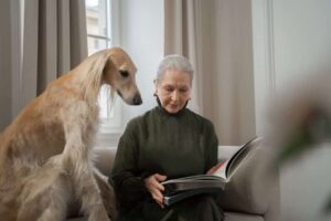Indoor-Air-Quality-Tips-for-Pet-Owners