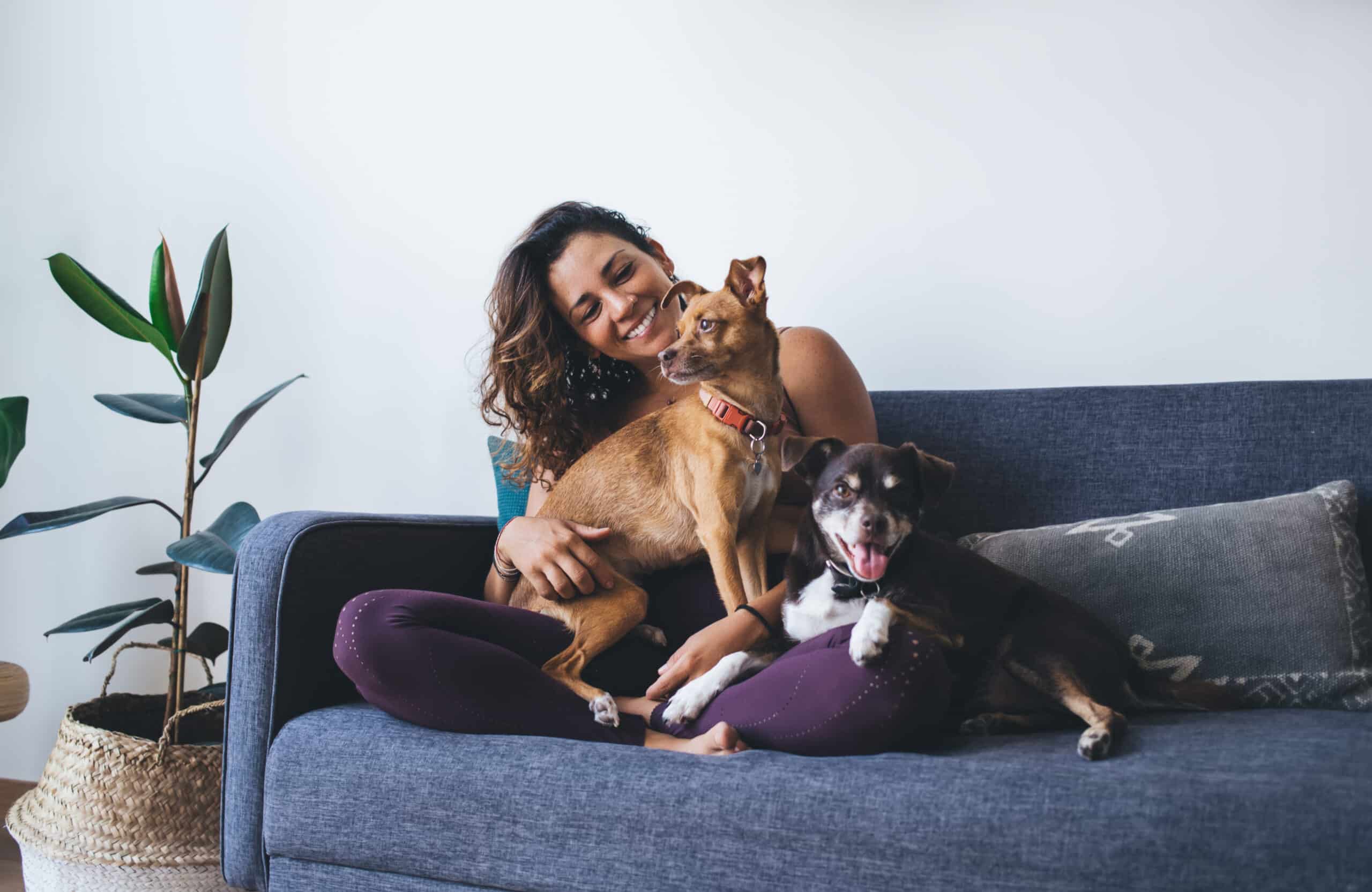 A woman sitting on a couch smiling while holding two small dogs in her lap.
