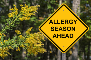 A yellow diamond road-sign-style graphic reading 'Allergy Season Ahead' next to blooming ragweed plants.
