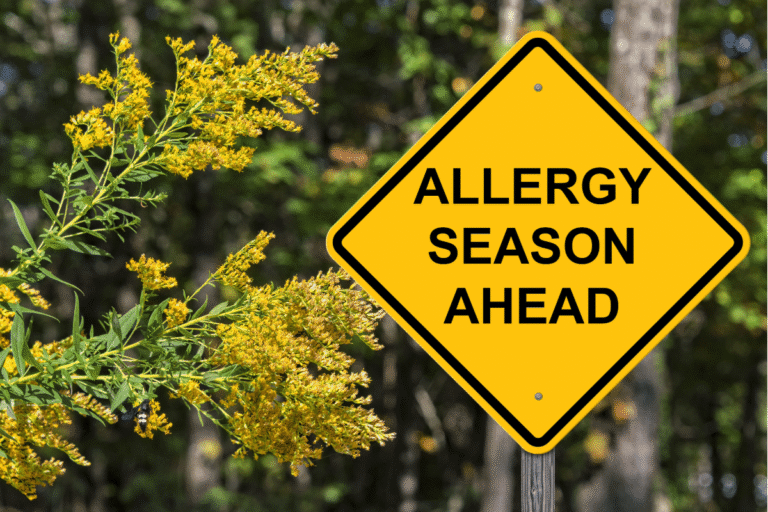 A yellow diamond road-sign-style graphic reading 'Allergy Season Ahead' next to blooming ragweed plants.
